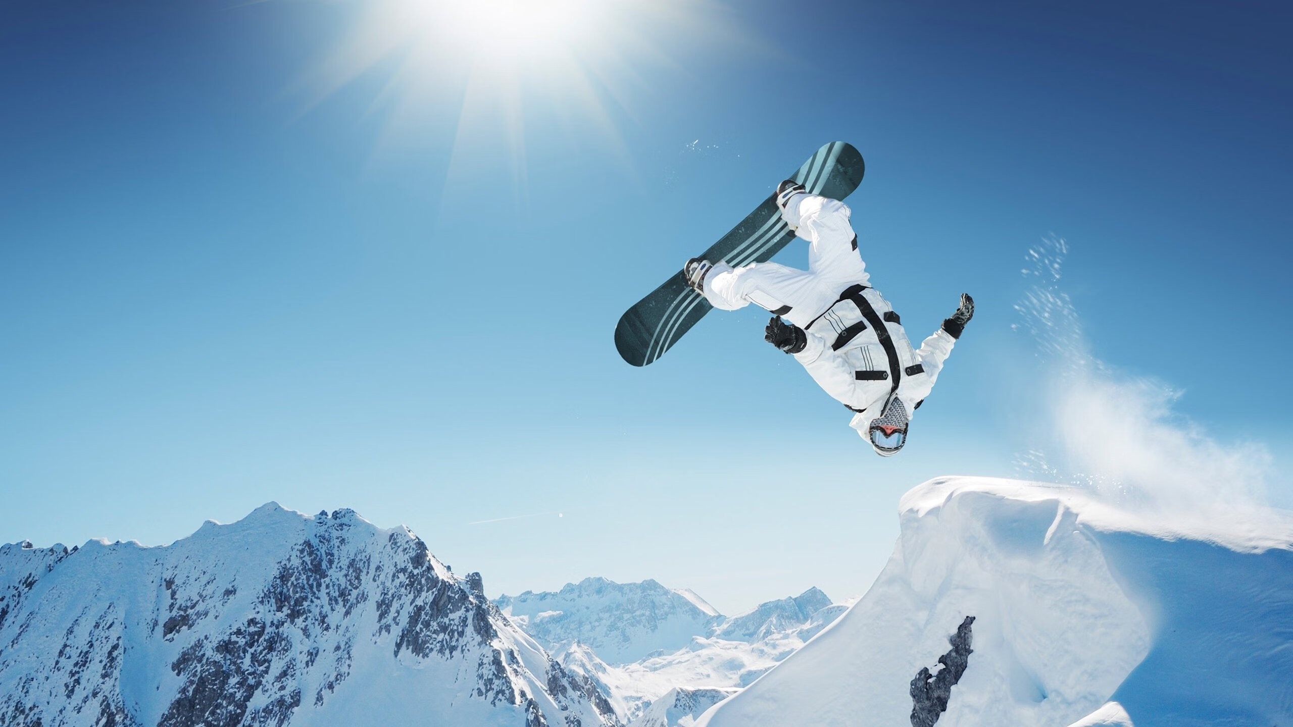 车队风云：从磨合到巅峰的幕后故事，车队 下载